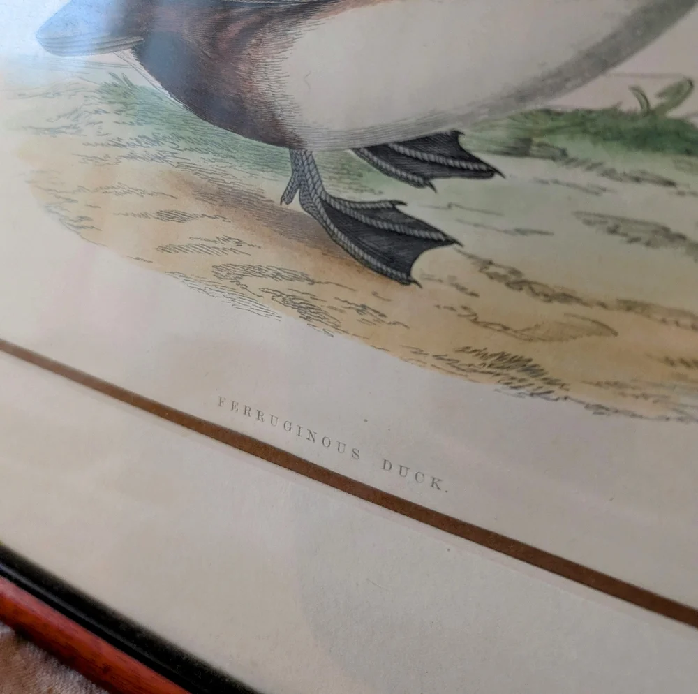 Frame - Picture 2 of 5